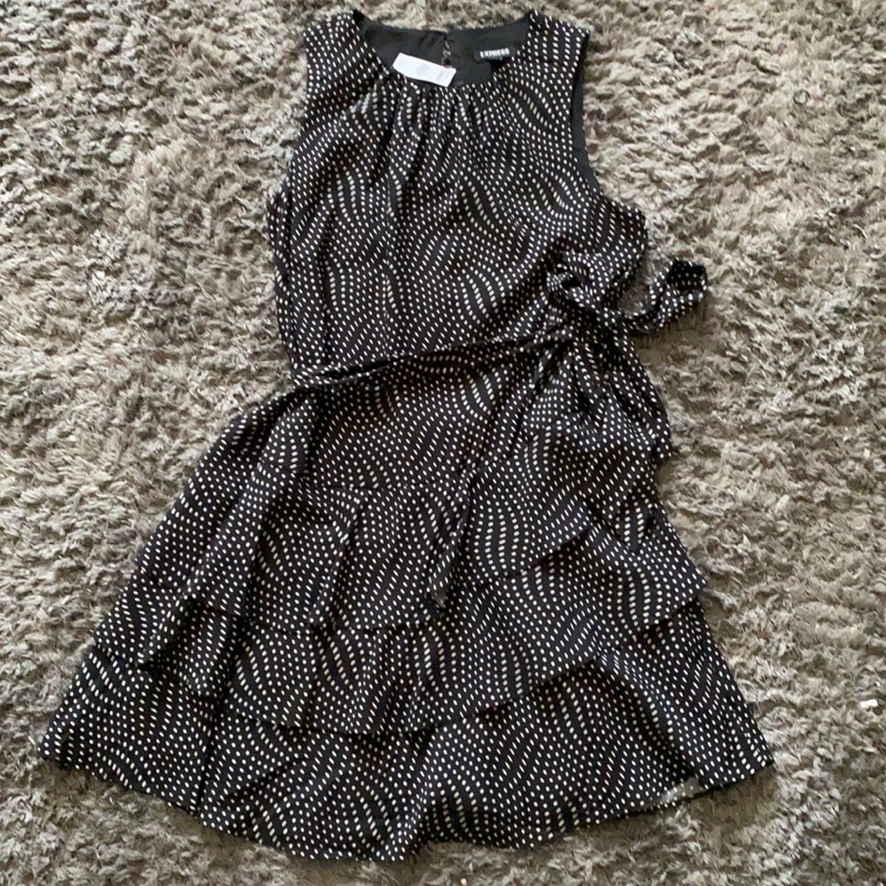 Express Brand New Dress